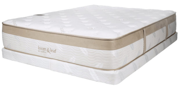 Saatva Loom and Leaf mattress on Mattress Zone USA