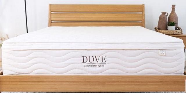 Nest Bedding Dove Certified Organic mattress on Mattress Zone USA